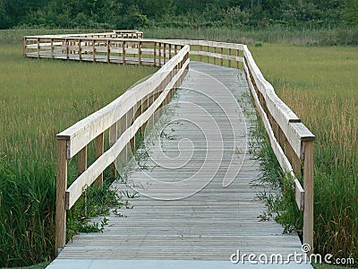 Wooden Walkway in Michigan Stock Photo