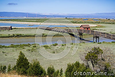 Wooden Walkway and Picnic Shelter, Stock Photo