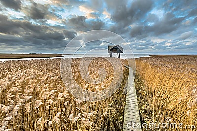 Wooden walkway through tidal marsh Stock Photo