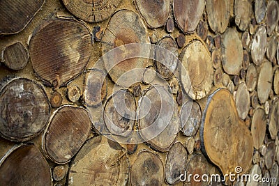 Wooden wall as background. Wall made of round wood, round, stump. Logs in a stacked wall. Texture of wood. Can use as wallpaper. Stock Photo
