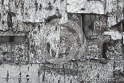 Wooden wall covered with birchbark. Black and white texture of birch bark Stock Photo