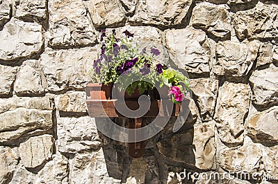 Wooden Wall shelf with vases of flowers, lighted up by the sun, hitched to the wall of the house, built of large stones Stock Photo