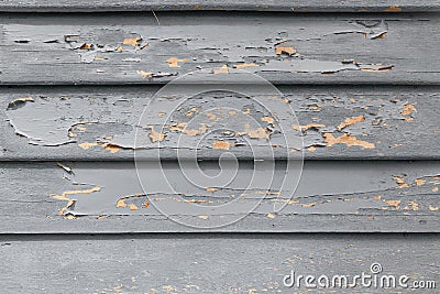 Wooden walls abrasive texture Stock Photo
