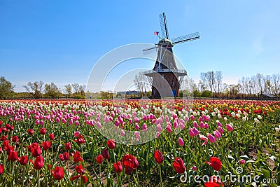 Wooden Windmill in Holland Michigan Stock Photo