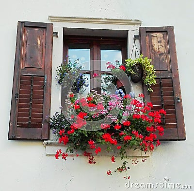 A window with colored geraniums resting on the window sill Stock Photo