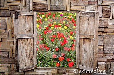 Wooden window opening with view of beautiful spring flower garden Stock Photo