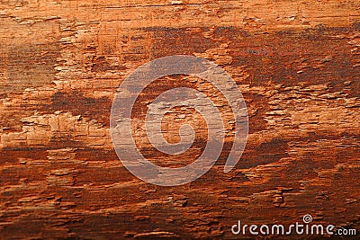 Woodgrain Stock Photo