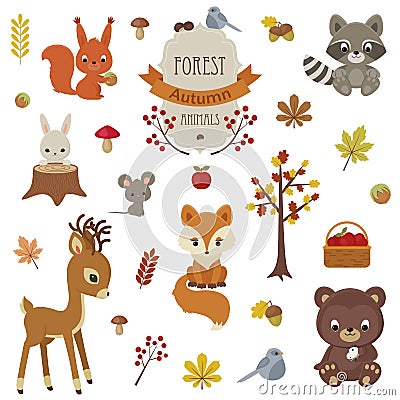 Woodland animals in autumn time. Vector Illustration