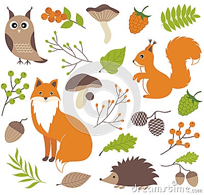 Woodland animals Vector Illustration