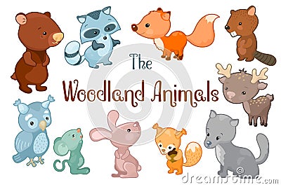 Woodland animals vector clipart on white background. Cute vector illustrations of bear, beaver, fox, rabbit, deer Cartoon Illustration