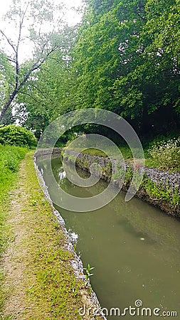 Woodland Footpath and a hidden River, Plymouth, Devon Uk Stock Photo