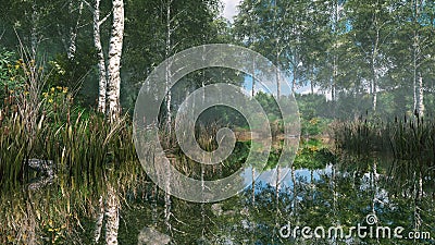 Woodland scenery with birch and calm forest lake Cartoon Illustration