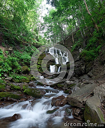 Woodland Stream. Stock Photo