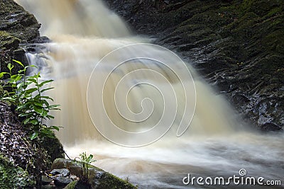 Woodland stream - flowing water Stock Photo