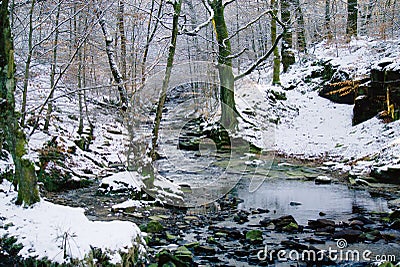 Woodland stream and winters snow. Stock Photo