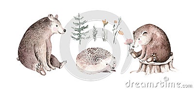 Woodland watercolor cute animals baby bear and hedgehog Scandinavian owls on forest nursery poster design. Isolated Stock Photo