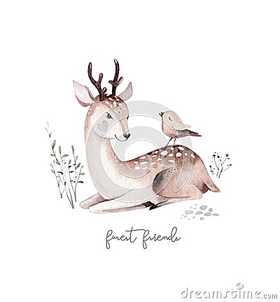 Woodland watercolor cute animals baby deer. Scandinavian cartoon forest nursery poster design. Isolated charecter Stock Photo