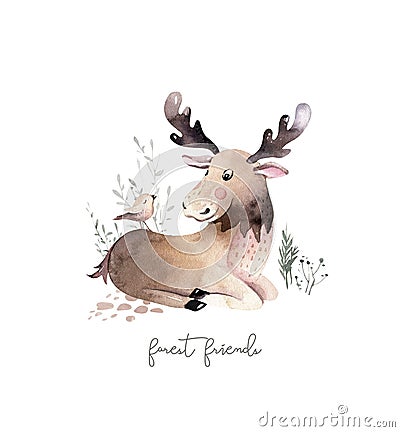 Woodland watercolor cute animals baby Elk. Scandinavian elk forest nursery poster design. Isolated charecter Stock Photo