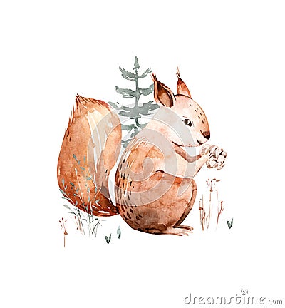 Woodland watercolor cute animals baby squirrel . Scandinavian squirrel forest nursery poster design. Isolated charecter Stock Photo