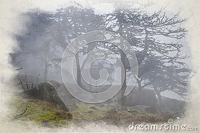 Woodland winter mist and fog digital watercolour painting at The Roaches, Staffordshire Stock Photo