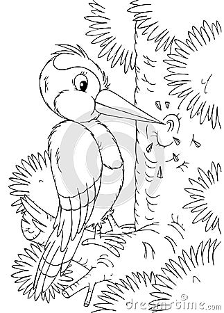 Woodpecker Cartoon Illustration