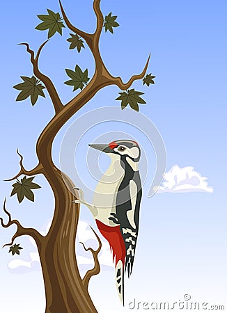 Woodpecker clinging to a tree trunk Vector Illustration