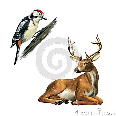 Woodpecker and Deer Cartoon Illustration