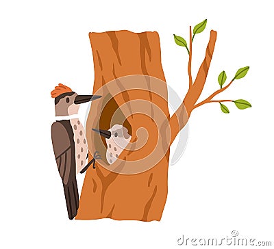 Woodpecker with nestling inside hollow in tree trunk. Forest pecker bird with little baby birdie in hole house in woods Cartoon Illustration