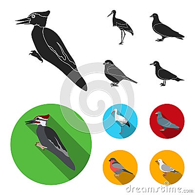 Woodpecker, stork and others. Birds set collection icons in black, flat style vector symbol stock illustration web. Vector Illustration