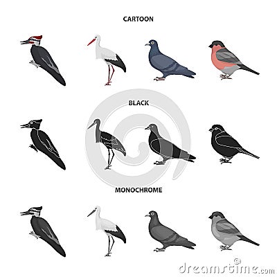 Woodpecker, stork and others. Birds set collection icons in cartoon,black,monochrome style vector symbol stock Vector Illustration