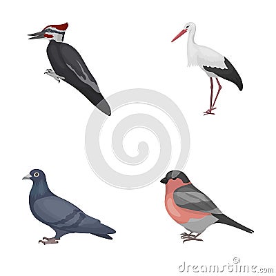 Woodpecker, stork and others. Birds set collection icons in cartoon style vector symbol stock illustration web. Vector Illustration