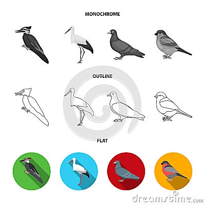 Woodpecker, stork and others. Birds set collection icons in flat,outline,monochrome style vector symbol stock Vector Illustration