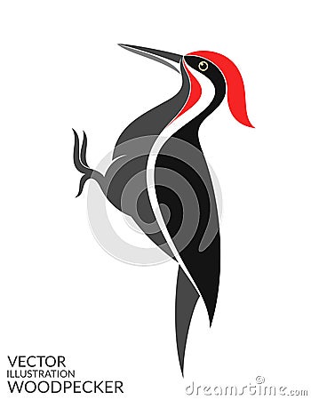 Woodpecker Vector Illustration
