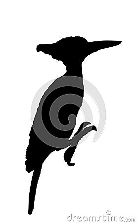 Woodpecker vector silhouette illustration isolated on white background. Forest bird. Vector Illustration