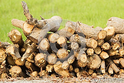 Woodpile of firewood. Chopped firewood for home