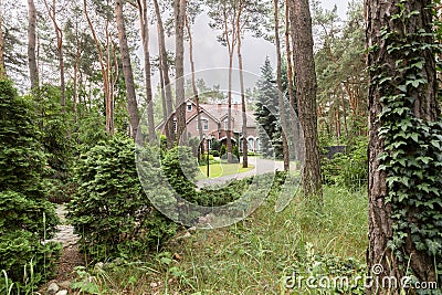 Woods with bushes and trees with an english style house in the background Stock Photo