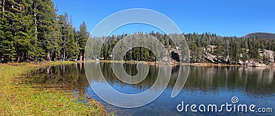 Woods lake in California Stock Photo
