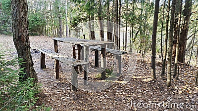 In the woods near the lake there is a clearing for recreation and picnics. Among the pines there are homemade wooden benches and a Stock Photo