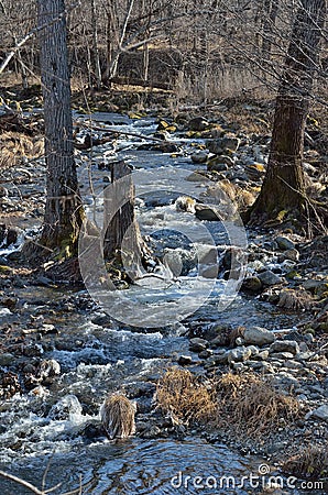 Woodsy mountain river 1 Stock Photo