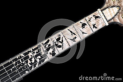 Significant example of woodworking artistry - ebony bird inlay on flamed maple guitar fretboard Stock Photo