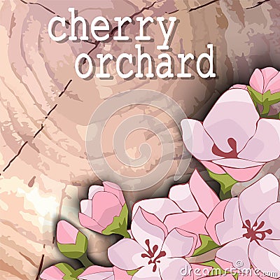 Woody background with pink Apple and cherry blossoms Vector Illustration