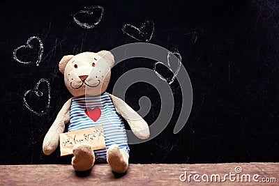 Wool bear chalkboard paper love formula hearts Stock Photo