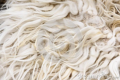 Wool fibers Stock Photo