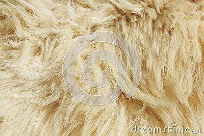 Wool texture Stock Photo