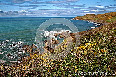 Woolacombe Devon Coast Stock Photo