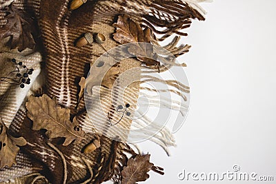 Woolen blanket on a white background with oak leaves and acorns. Autumn and comfort. Copspace Stock Photo