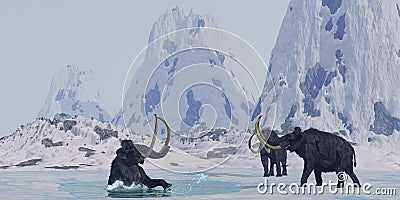 Woolly Mammoth Stock Photo