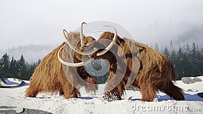 Woolly mammoth bulls fighting, prehistoric ice age mammals in snow covered landscape Stock Photo