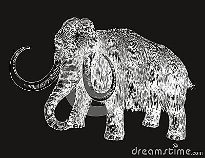 Woolly mammoth extinct animal sketch Vector Illustration