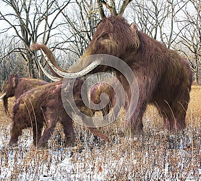 Woolly Mammoth Family In Forest Cartoon Illustration